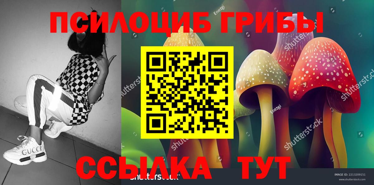 Ивантеевка  купить наркотики цена  Вход с VPN  Псилоцибиновые грибы Psilocybe 