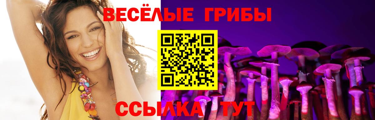 Псилоцибиновые грибы Cubensis Ивантеевка
